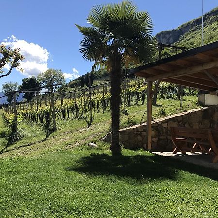 Weifnerhof Villa Termeno Dış mekan fotoğraf